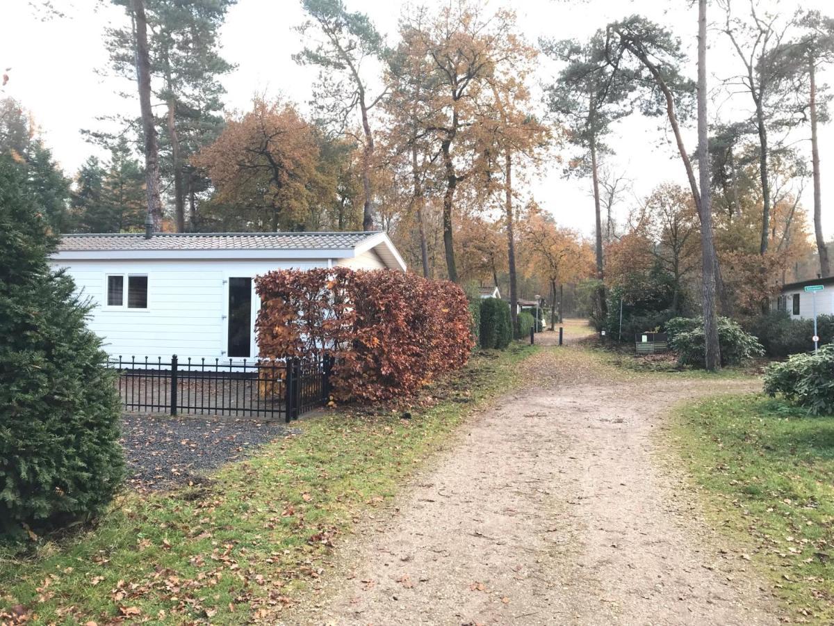 Chalet Bosrand 42 Park Veluwshof 6 p Hoenderloo Buitenkant foto