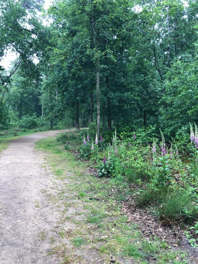 Chalet Bosrand 42 Park Veluwshof 6 p Hoenderloo Buitenkant foto